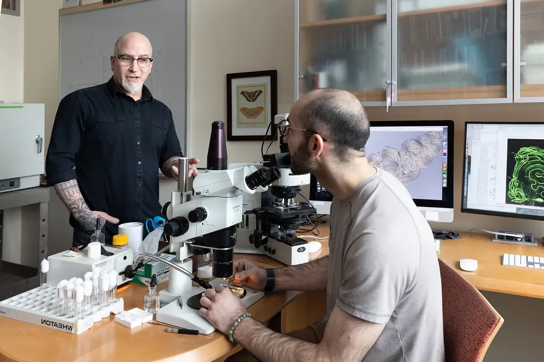 Two scientists work together in lab using a microscope.